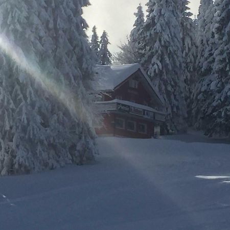 Auerhahn Hotel Feldberg  Luaran gambar