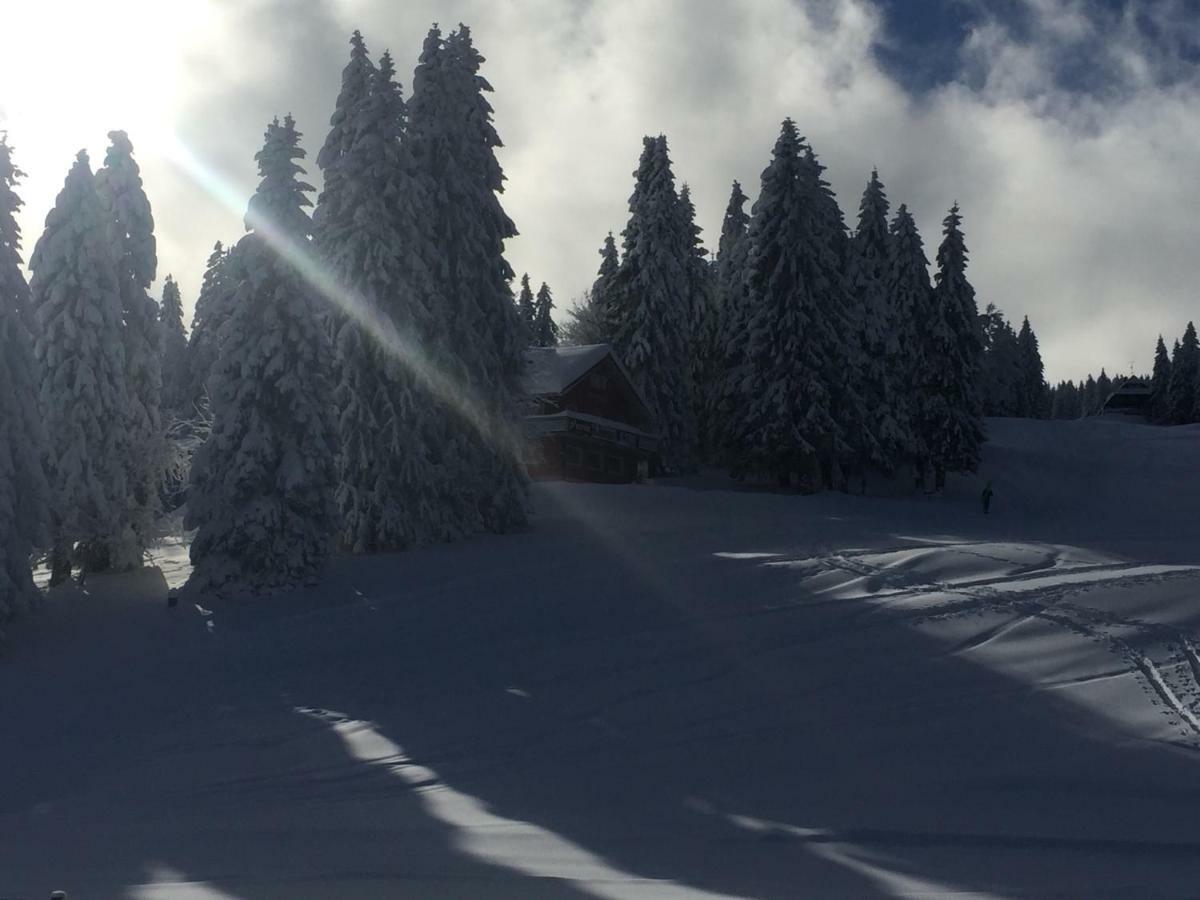 Auerhahn Hotel Feldberg  Luaran gambar