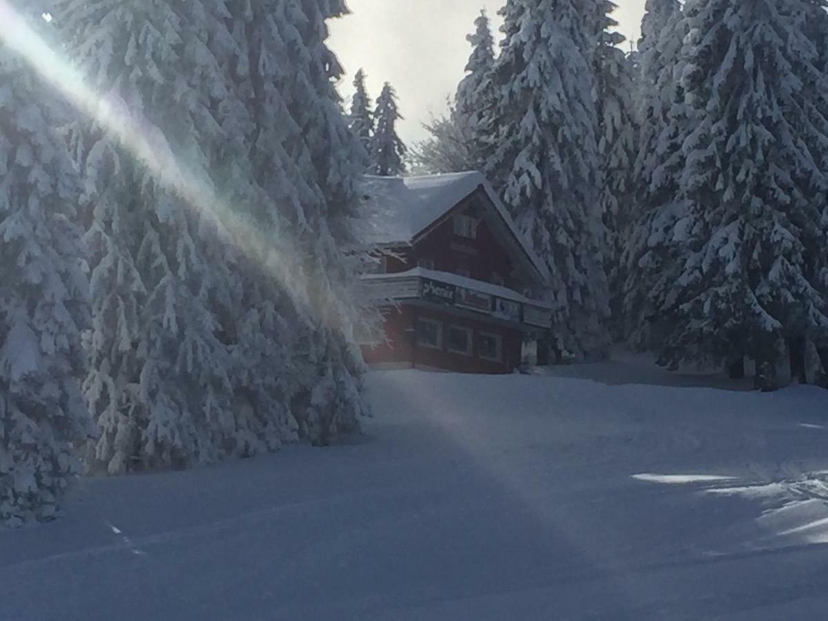 Auerhahn Hotel Feldberg  Luaran gambar