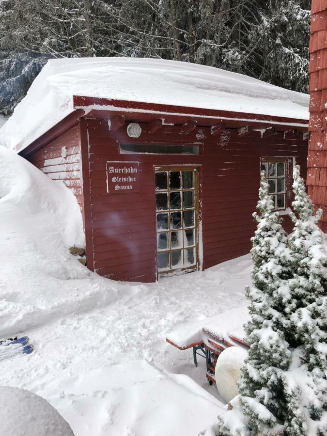 Auerhahn Hotel Feldberg  Luaran gambar