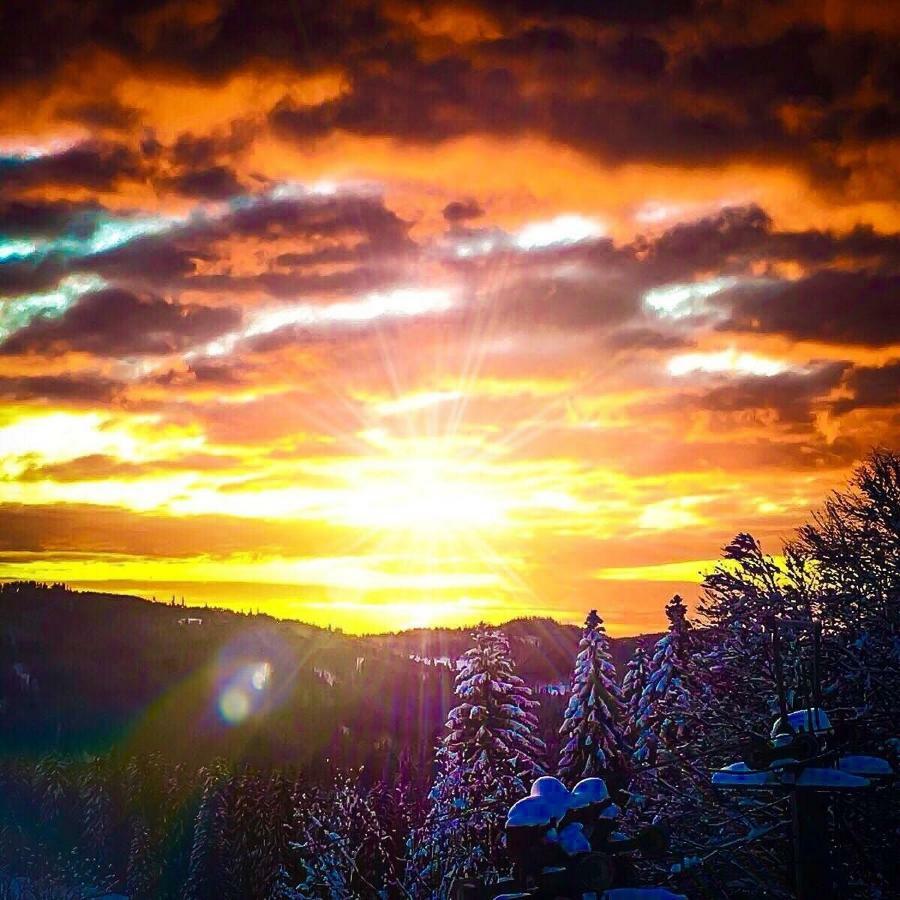 Auerhahn Hotel Feldberg  Luaran gambar
